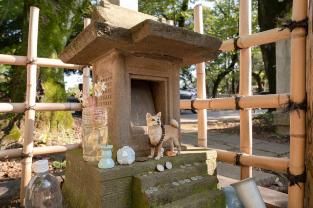 Hachi memorial at Aoyama cemetery