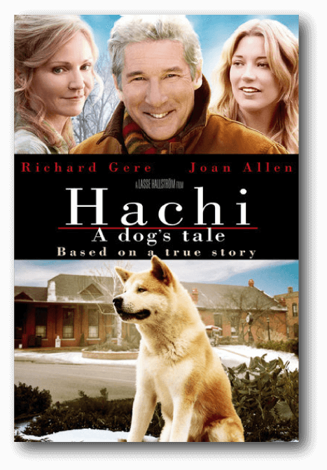 Hachi Animal Stars