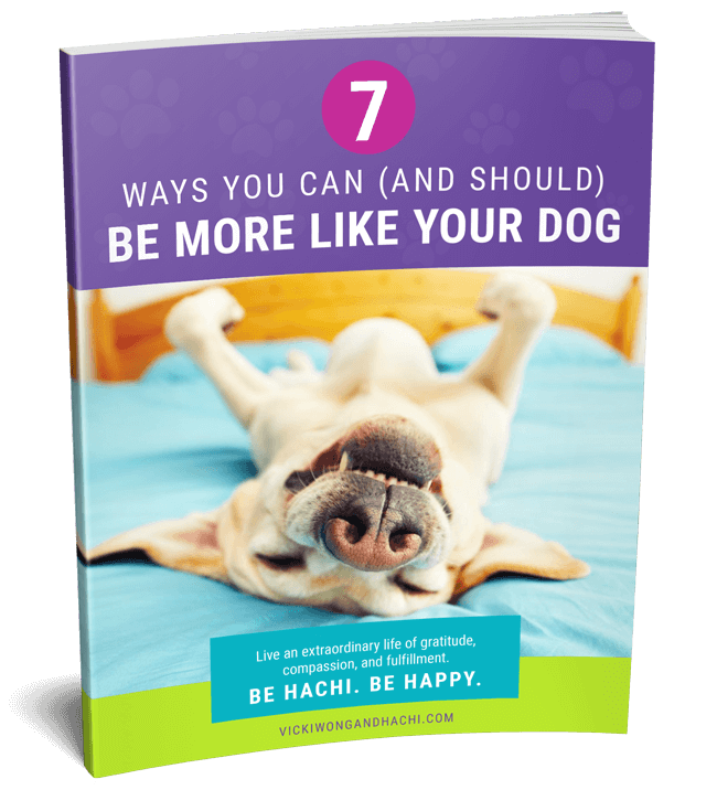 7 Ways You Can (And Should) Be More Like Dogs