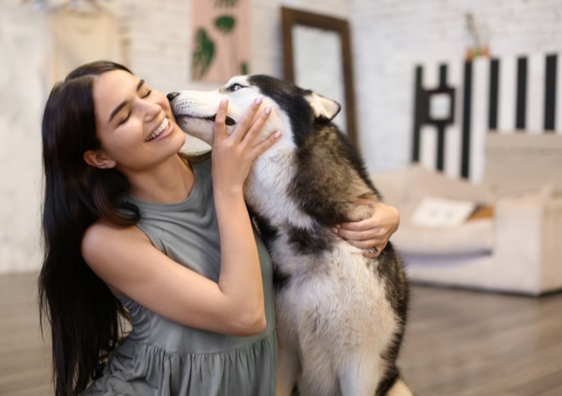 Young woman kissing husky dog