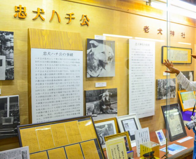 Akita Museum, Odate Japan